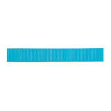 Classic Nylon Webbing, 1"