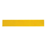 Classic Nylon Webbing, 2"