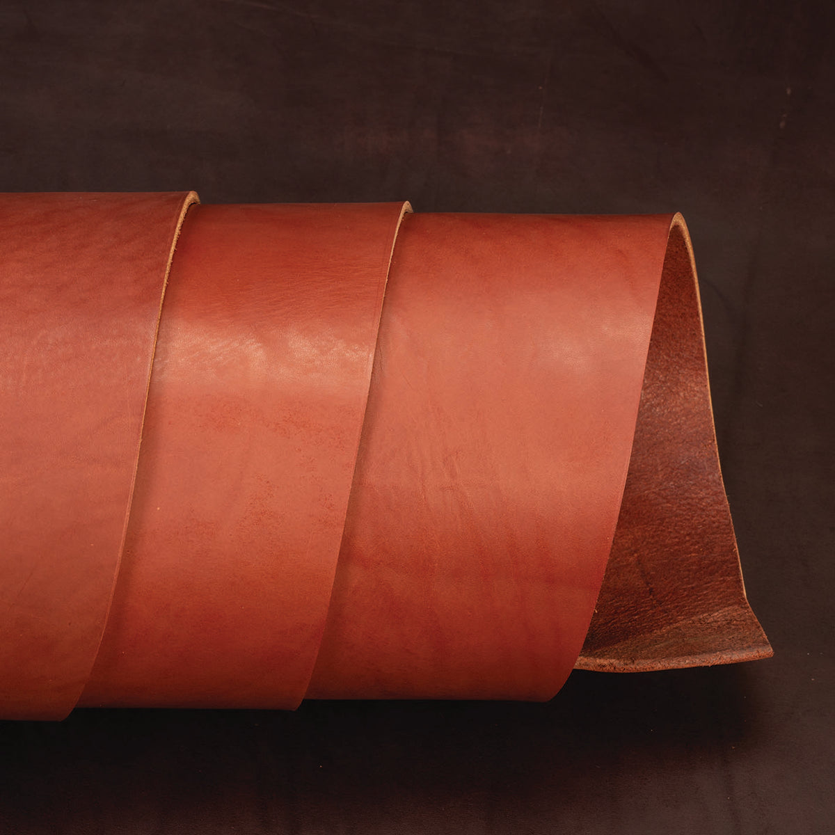CHAHINLEATHER® English Bridle Leather, Double Shoulders