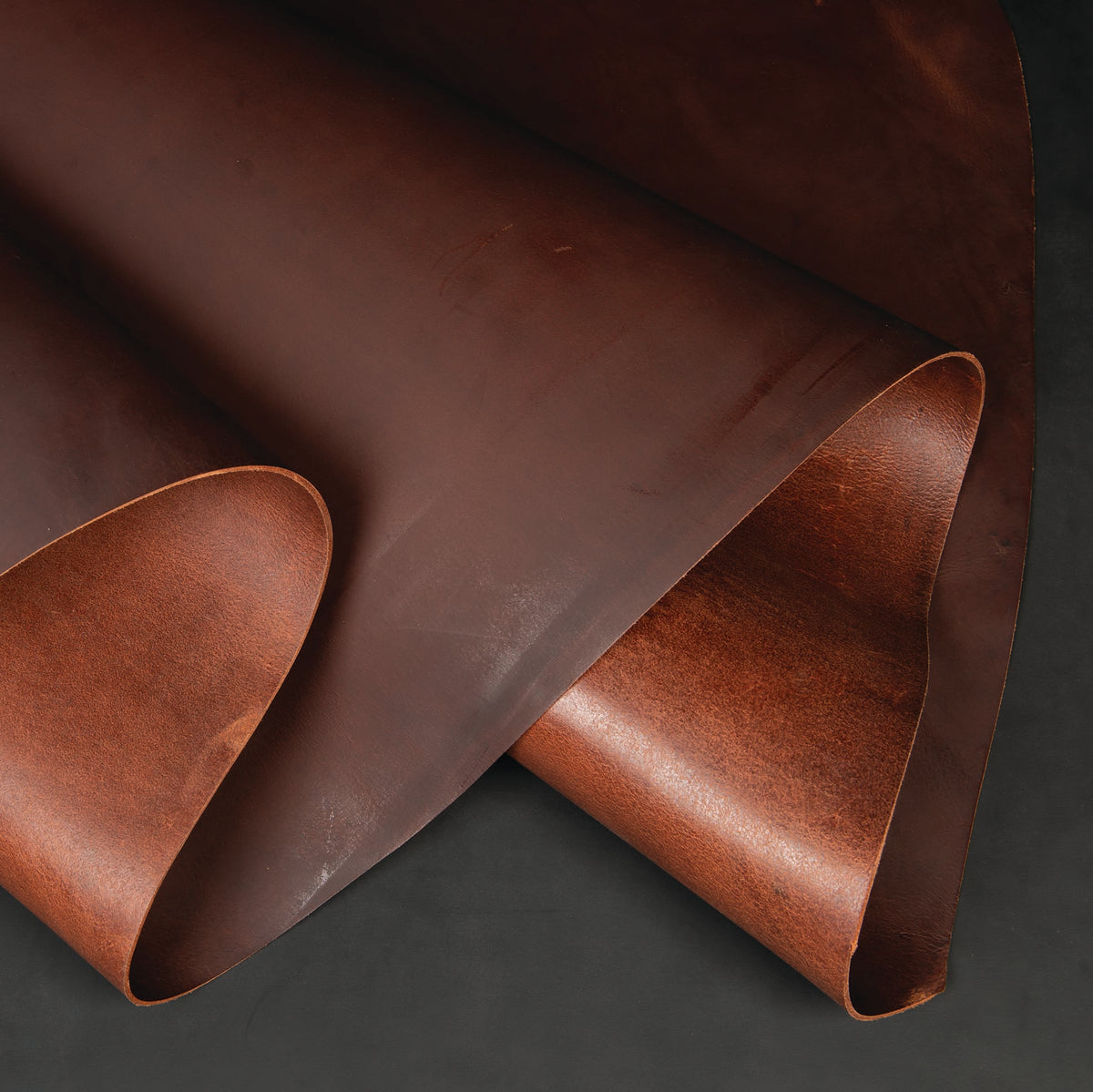 Water Buffalo Leather Single Bends