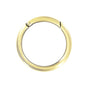 Ohio Travel Bag 2" Antique Brass, Ring w/ Spring Gate, Zinc Alloy, #P-2732-ANTB P-2732-ANTB