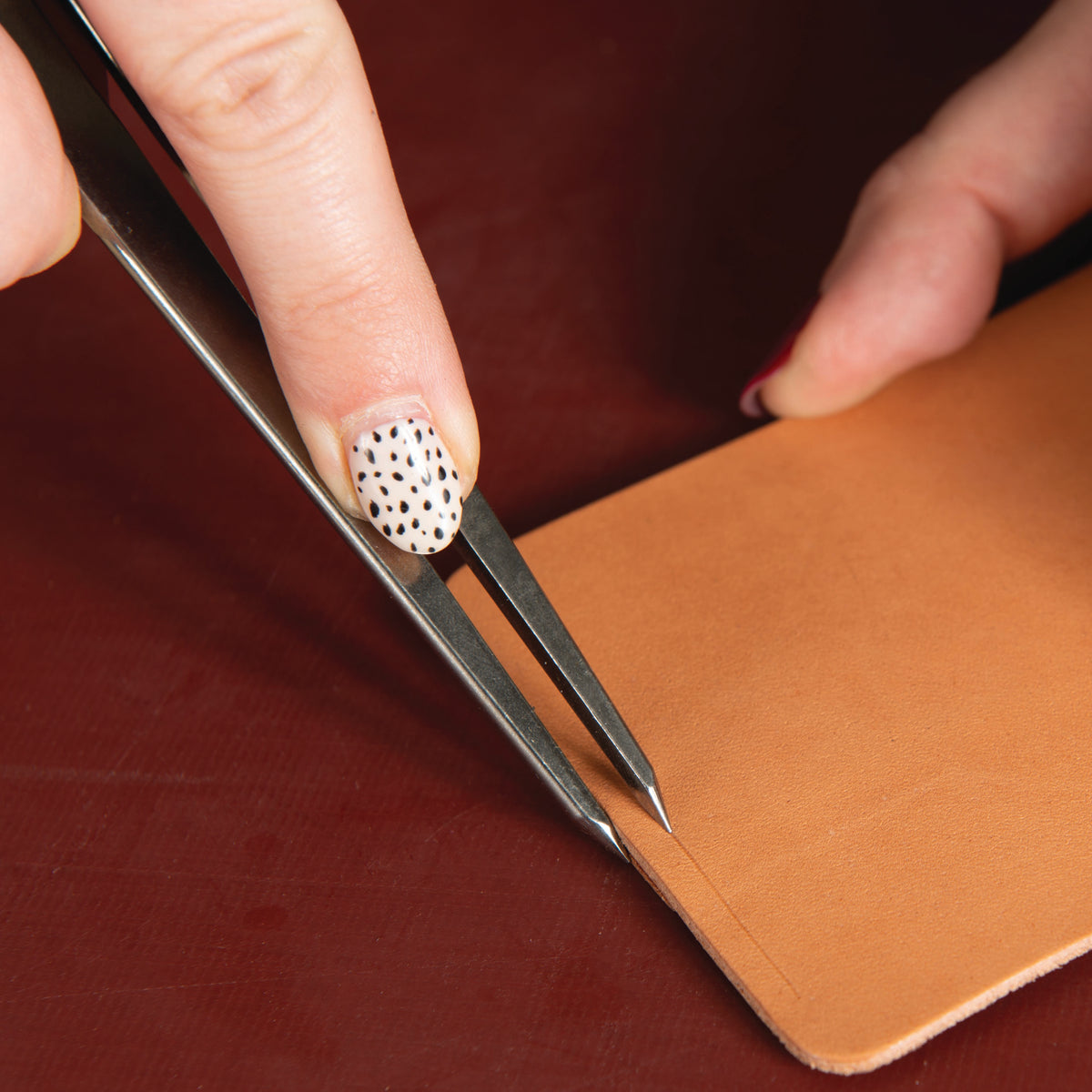 Wing Divider, 8"